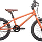 Cleary Bikes Hedgehog
