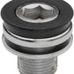 RaceFace Crank Arm Fixing Bolts
