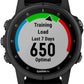 Garmin Fenix 5S Plus Sapphire GPS Watch