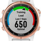 Garmin Fenix 5S Plus Sapphire GPS Watch