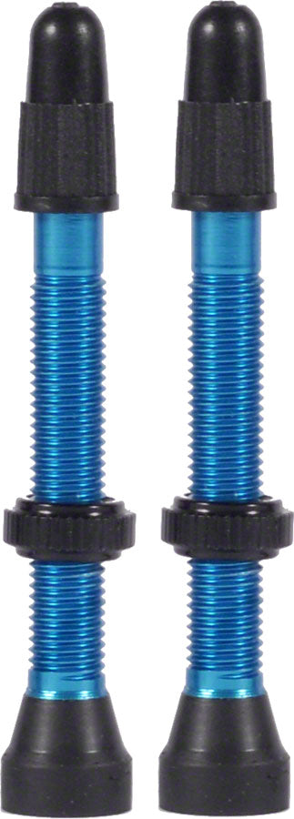 WTB TCS Presta Valve