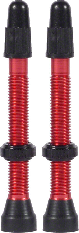 WTB TCS Presta Valve