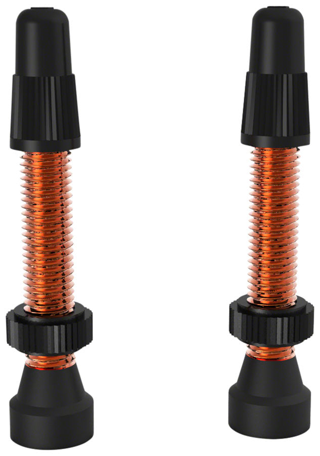 WTB TCS Presta Valve