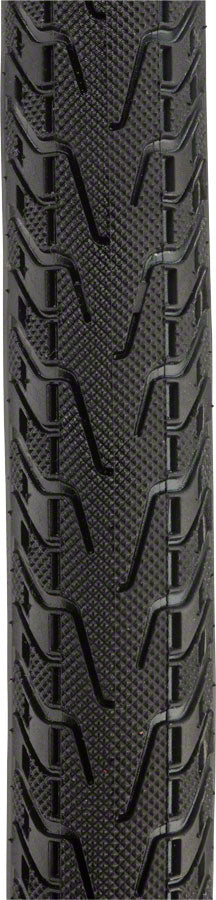 Panaracer Pasela ProTite Tire