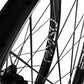 ENVE Composites Foundation AM30 Wheelset