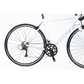 2019 Scott Contessa Speedster 25
