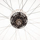 Maddux DC 4.0 29/700c Wheel w/ Cassette & Rotor