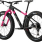 Salsa Beargrease Carbon NX Eagle Fat Bike - Pink