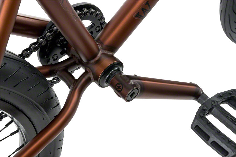 We The People Zodiac