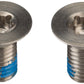 SRAM Flat Mount Disc Bolts