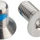 SRAM Flat Mount Disc Bolts