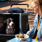 Burley Bark Ranger Pet Trailer