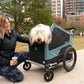 Burley Bark Ranger Pet Trailer