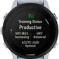 Garmin Forerunner 955 GPS Smartwatch