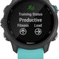Garmin Forerunner 245 Music GPS